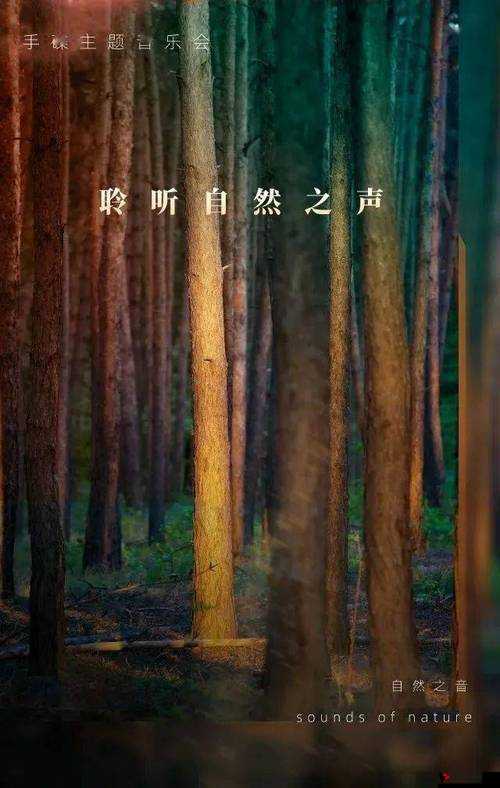.tobu1004k 动听音乐:聆听自然之声
