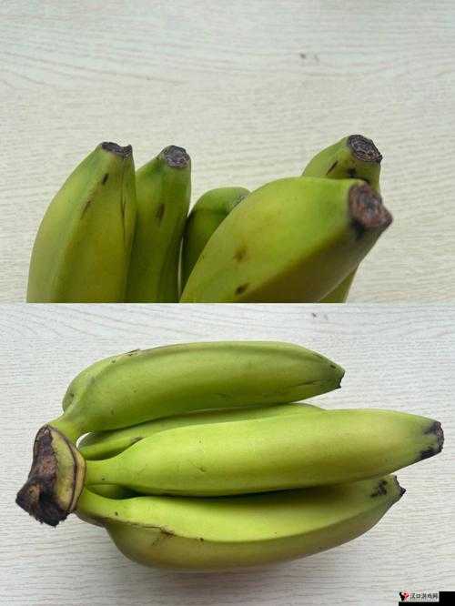 草莓香蕉榴莲黄瓜丝瓜茄子：蔬菜水果大集合
