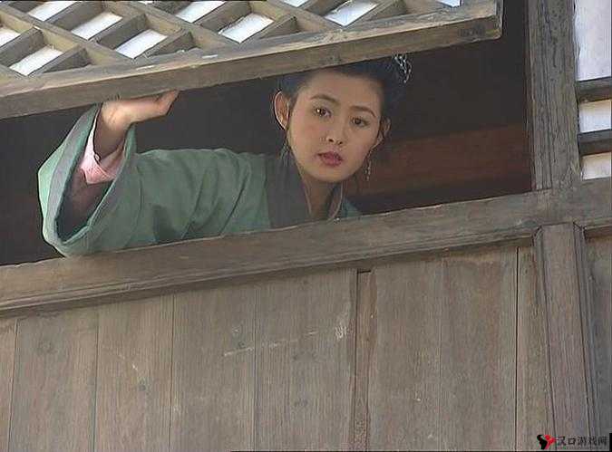 国产 99 久久久国产精品潘金莲竟见不得人：一段被尘封的隐秘往事
