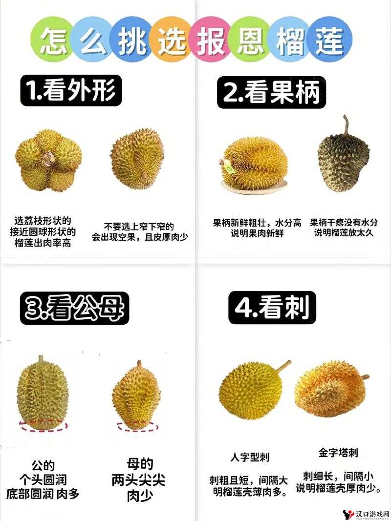 香蕉榴莲丝瓜草莓黄瓜榴莲在线观看:各类蔬果齐聚的奇妙视频世界