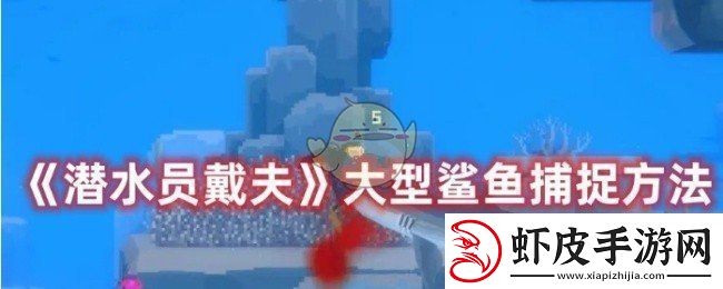 潜水员戴夫怎么捕捉大型鲨鱼