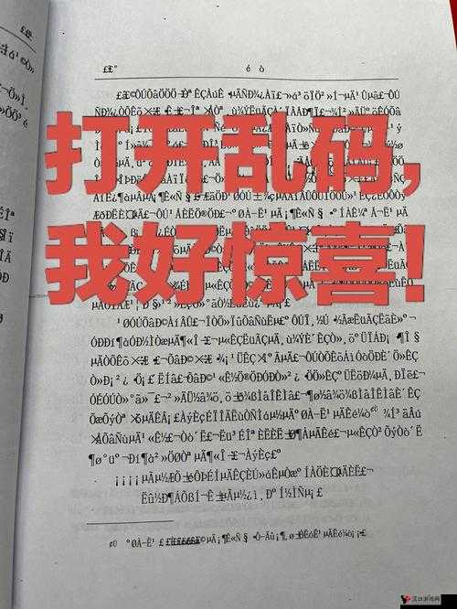 A 乱码 1 乱码 2 乱码 3 背后隐藏的神秘故事与真相探索