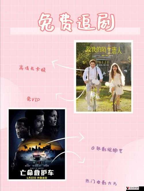 Netflix 免费在线观看:畅享海量精彩影视资源