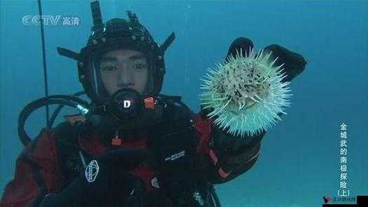 泰拉瑞亚探险指南,揭秘中箭僵尸的出没与掉落