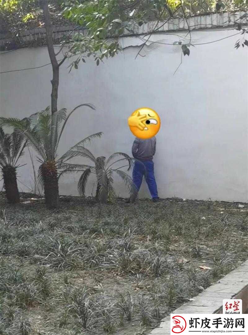 亚洲人户外随地**