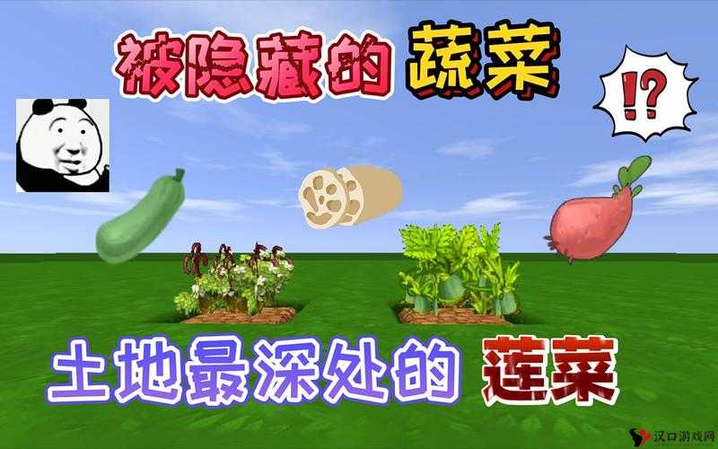 迷你世界蔬菜煲怎么做,合成方法与资源管理的重要性