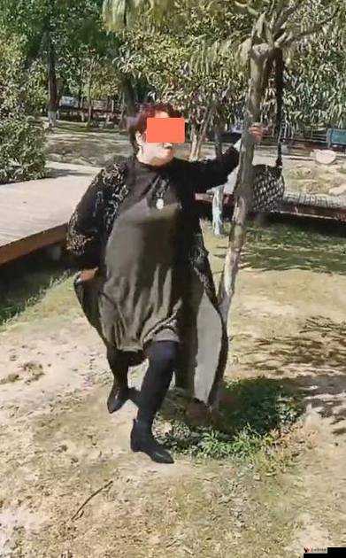 公园里的小树:一场特殊的中老年交易