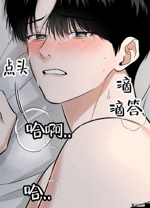 一个全新的漫画平台，啵乐腐味满满网页版：海量精彩漫画等你发现