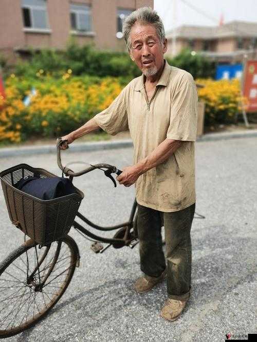 小草回家永不迷路 2024:踏上追寻温暖归家之旅