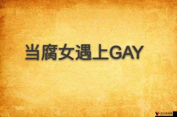 当腐女遇到Gay :不一样的爱情故事