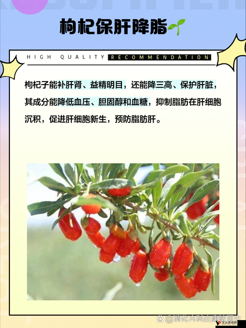 枸杞加一物，功效远超**，养生保健之选