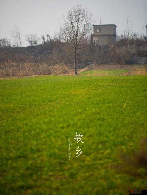 儿耕妈荒废的田：被遗忘的土地，谁来拯救？