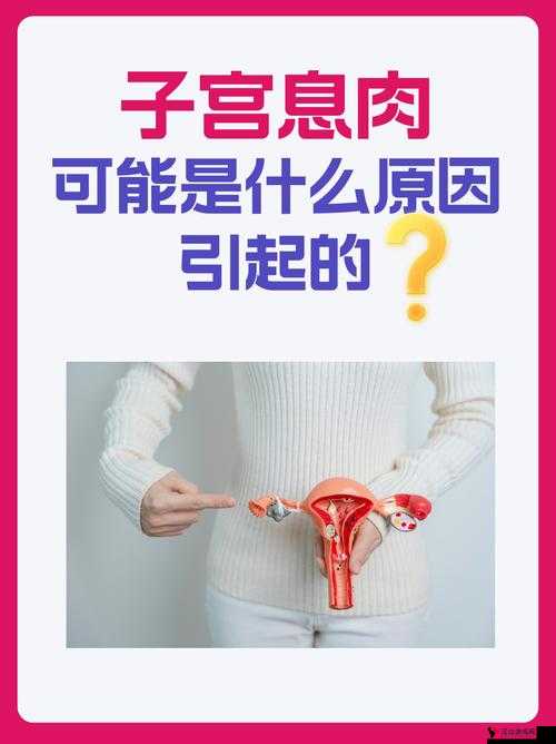 顶到**是什么感觉：深入探究这一特殊身体体验的细节