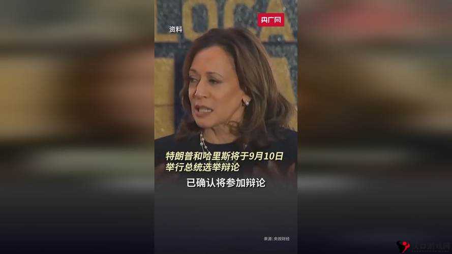 8X8X 海外华为永久更新时间:探究其背后的技术支撑与发展前景