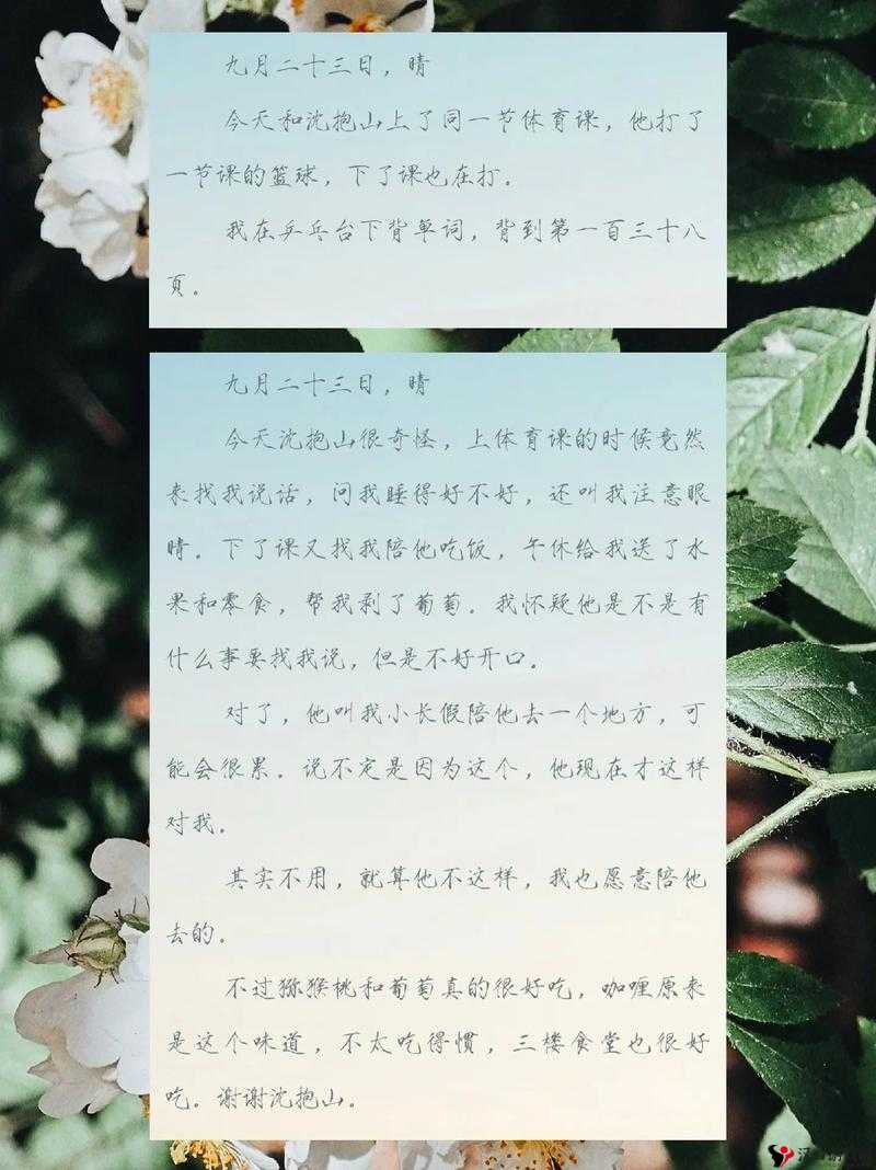 游荡的生活日记莹莹怎么写——记录莹莹独特的生活轨迹