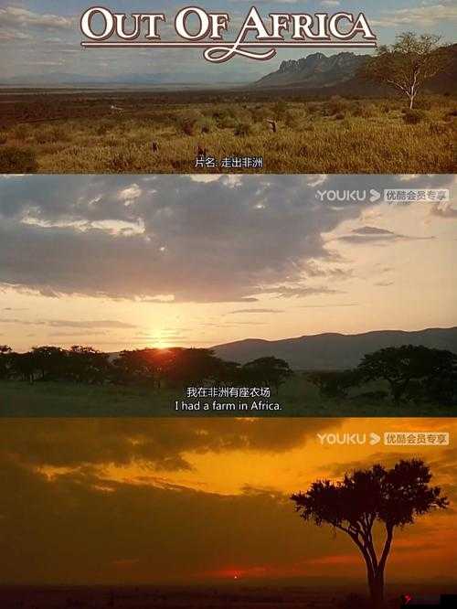 这地方好棒哦我很惊讶-真的是让我感到无比震撼和欣喜