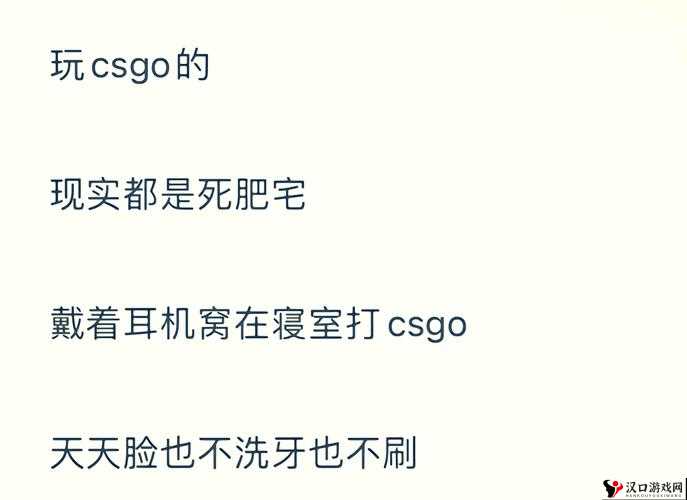 暴躁老阿姨 CSGO 剧情深度解析:精彩背后的故事