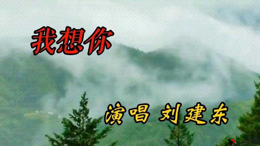 我想你高清MV观看视频:带你走进深情的音乐世界