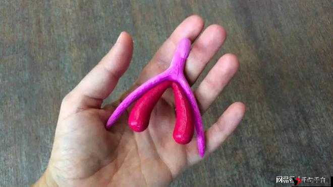 扒开老女人与大荫蒂激烈 PK 现场揭秘