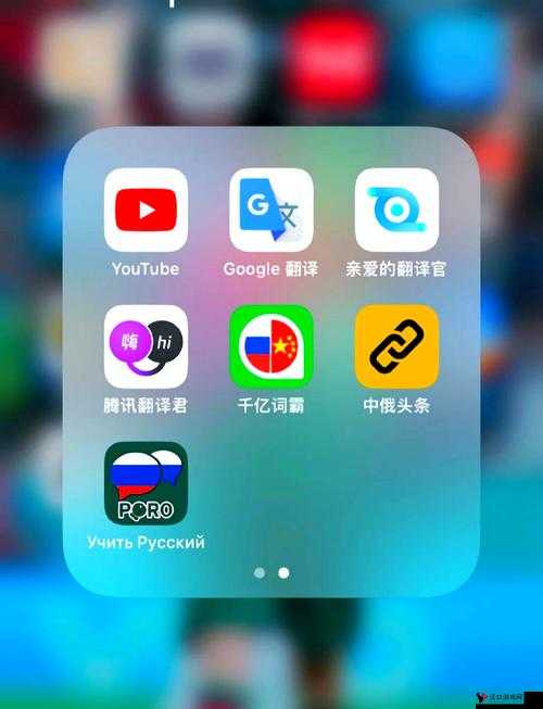 俄罗斯 Zoom 人与 Zoom 哪个好：Zoom 软件对比与选择