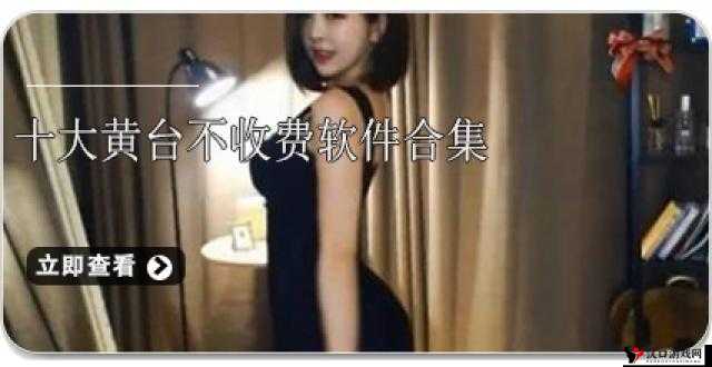 2024 黄台下载:成年人的专属世界