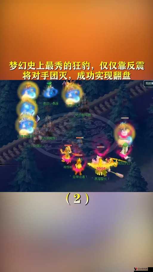 梦幻西游无双版狂豹深度解析,技能图鉴与战斗魅力全览