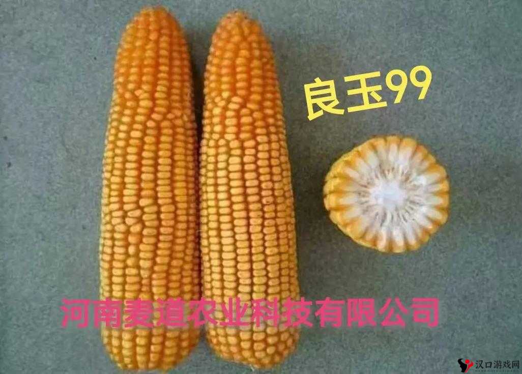 99 精产三产区一区二区:领域的精品之选