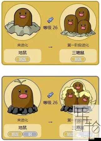 口袋妖怪复刻三地鼠种族值怎么样？三地鼠种族值解析及其在游戏中的资源管理
