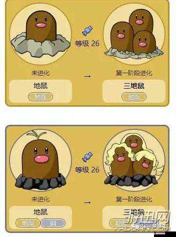 口袋妖怪复刻地鼠种族值解析及高效管理策略