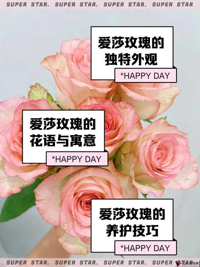 艾尔战记爱莎怎么培养,爱莎培养方式详解