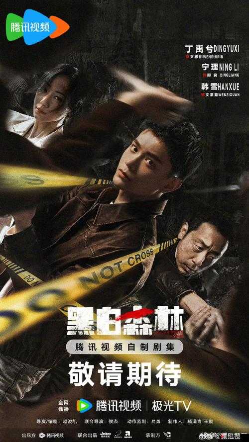 黑白森林 2024:一部引人入胜的电视剧,带你走进神秘的森林世界