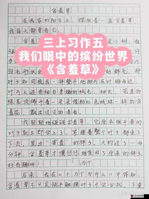 含羞草2024 隐藏路径:探寻其背后的神秘与未知世界