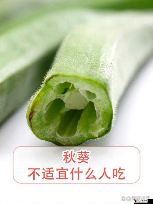 榴莲秋葵独特魅力,让你流连忘返回味无穷