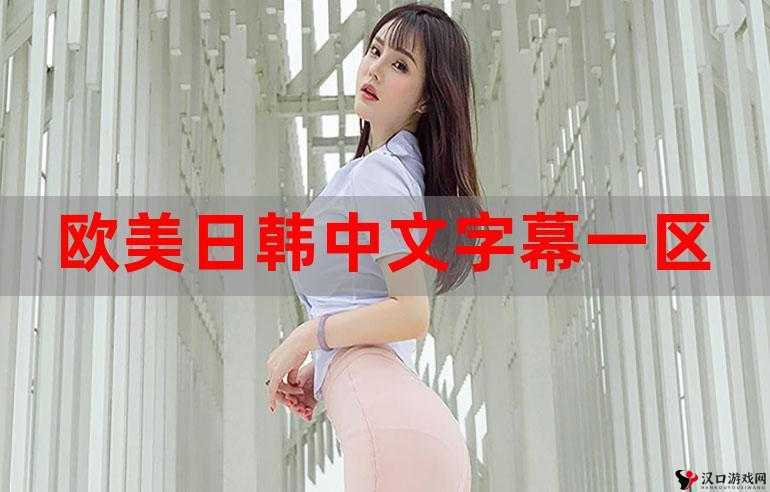 中文一区二区的那些事儿
