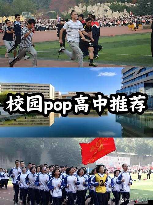 校园 pop1∨1h 温软冷意:独特的青春校园氛围体验