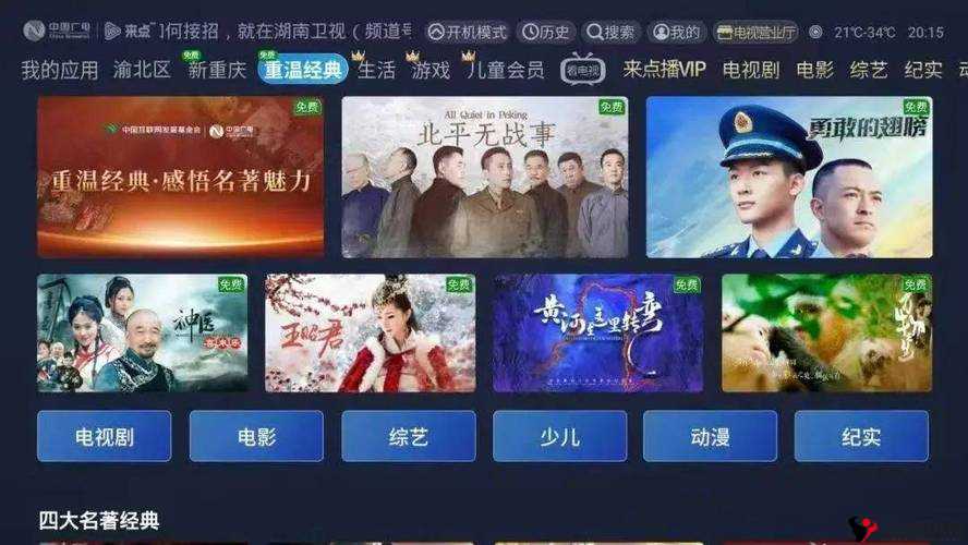 大地鲁大师在线观看免费播放:畅享精彩无需付费