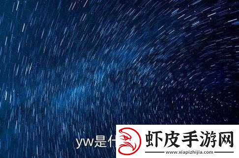 yW1139龙物视跳转界面