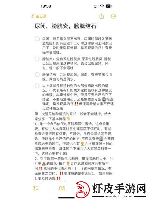 诡秘膀胱