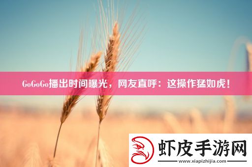 GoGoGo播出时间曝光