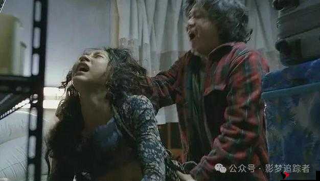 麻豆三级播放:影片的争议与探讨