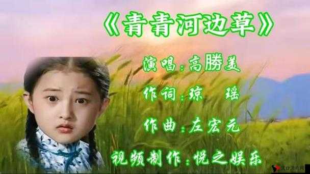 青青河边草免费视频观看下载资源精彩呈现
