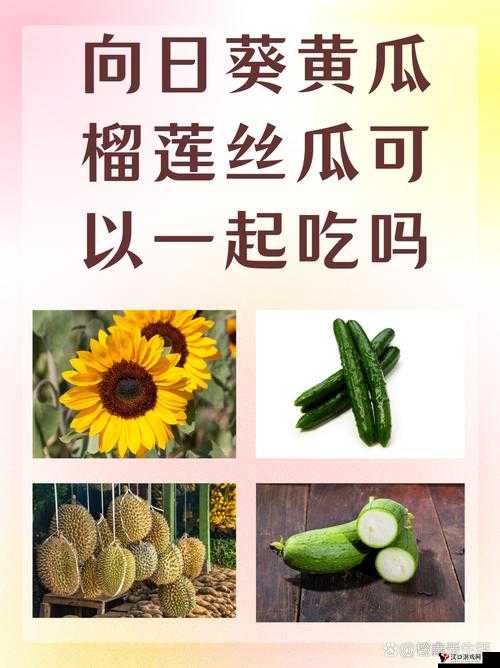 草莓丝瓜黄瓜向日葵榴莲:五种蔬果花卉的独特魅力与价值