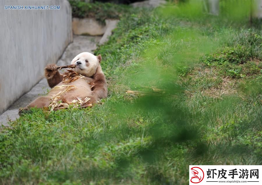 “Y液体系统xi”震撼来袭