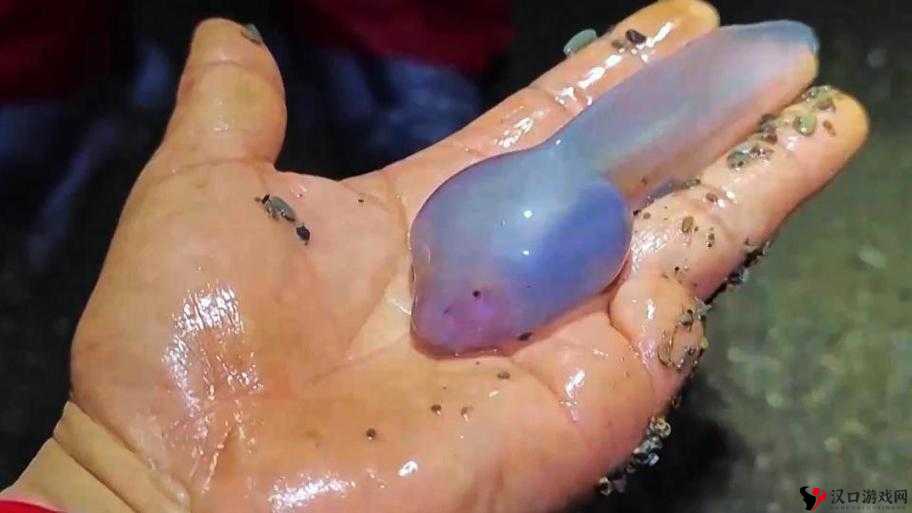 91 蝌蚪九色:引领独特趣味与体验的奇妙世界