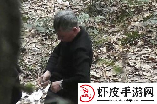 绿野仙踪