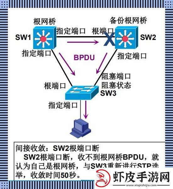 stp协议