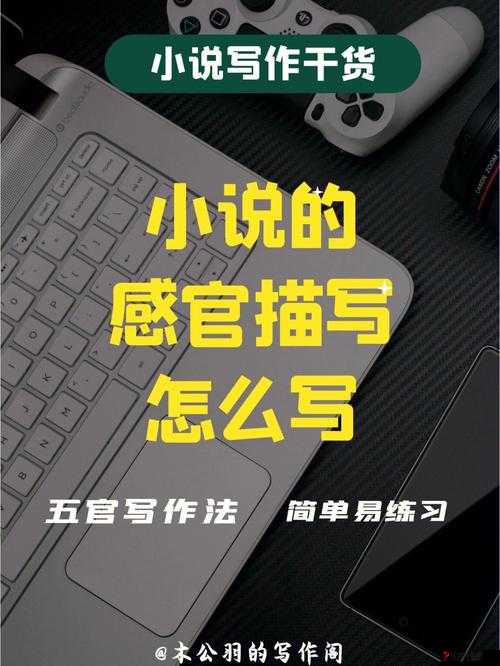 毛片 APP 带来独特视觉与感官冲击的精彩内容