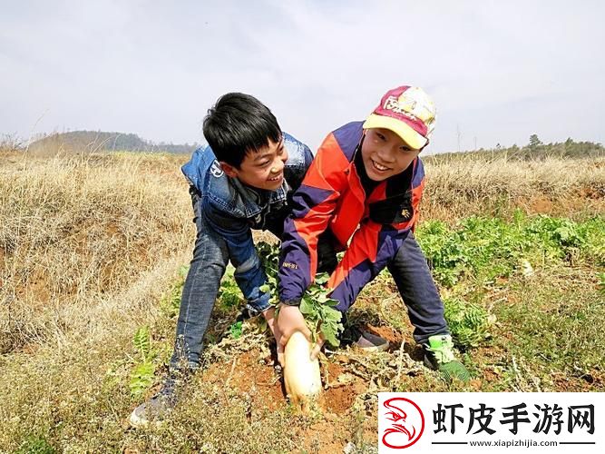 “拔萝卜双人”网友热议