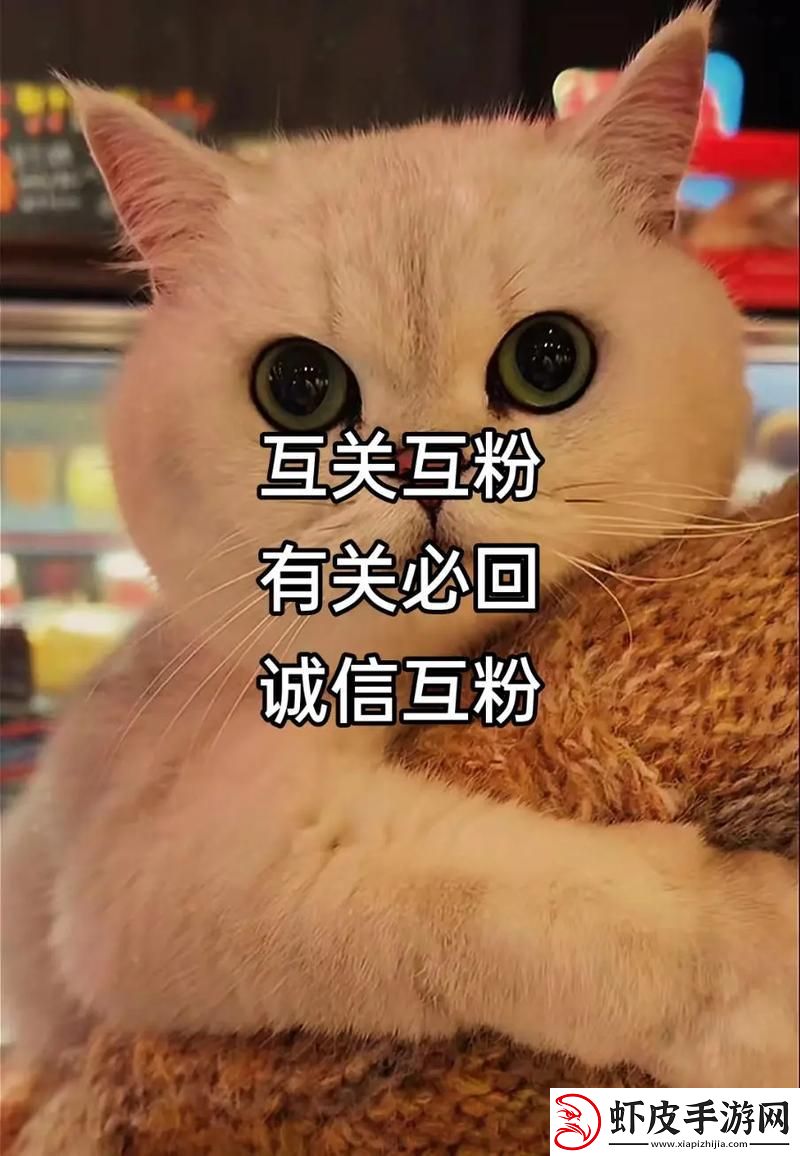 “互粉互关”狂想曲