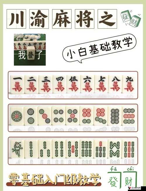 沈阳麻将全攻略,开牌规则与玩法揭秘